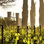 Loggio Winery And Boutique