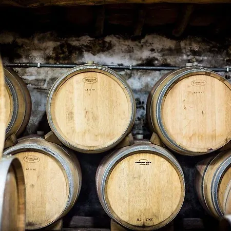 Loggio Winery And Boutique كورتونا