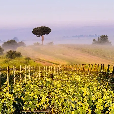 Loggio Winery And Boutique