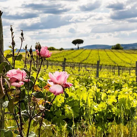 Loggio Winery And Boutique