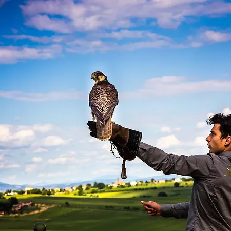 Loggio Winery And Boutique Cortona
