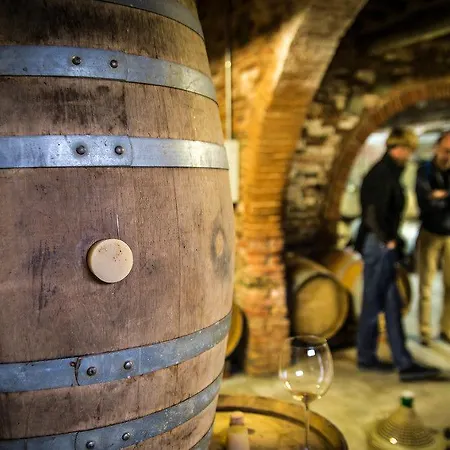 酒店 Loggio Winery And Boutique 4*