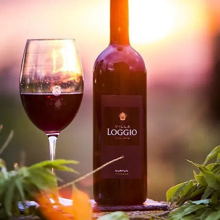 酒店 Loggio Winery And Boutique 4*