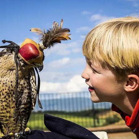 Loggio Winery And Boutique Hotel