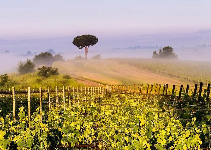 Loggio Winery And Boutique