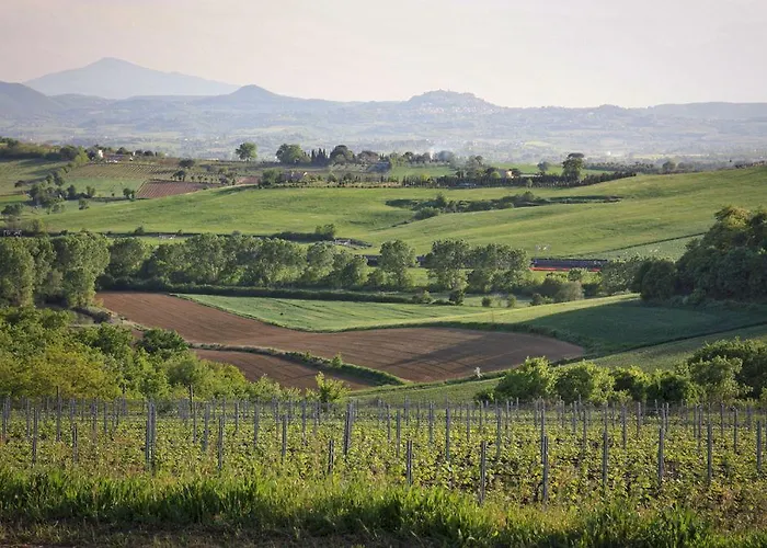 Отель Loggio Winery And Boutique 4*