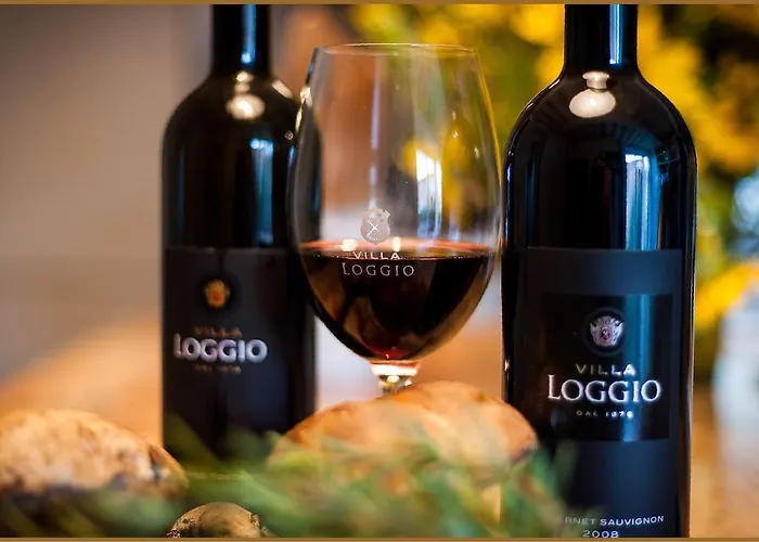 Loggio Winery And Boutique 酒店