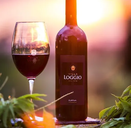 Отель Loggio Winery And Boutique 4*