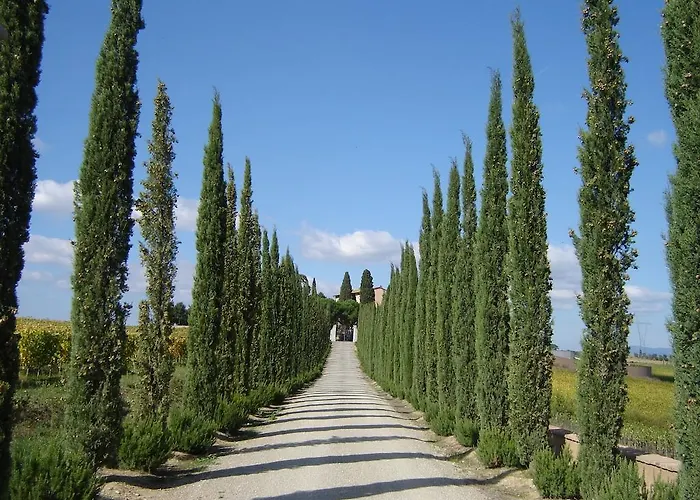 Loggio Winery And Boutique