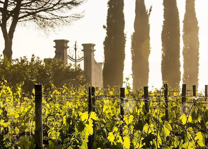 Loggio Winery And Boutique