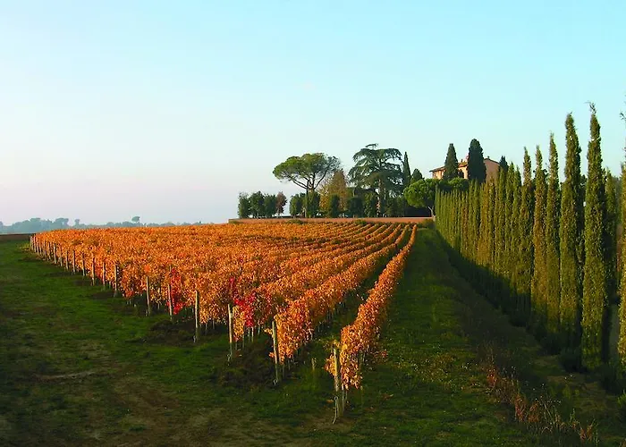 Loggio Winery And Boutique 酒店 哥尔顿