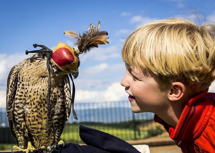 Loggio Winery And Boutique 酒店