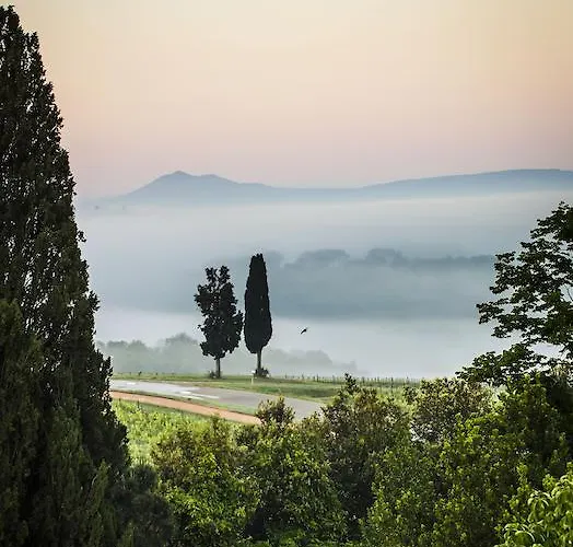 Loggio Winery And Boutique