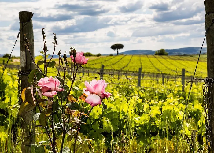 Loggio Winery And Boutique