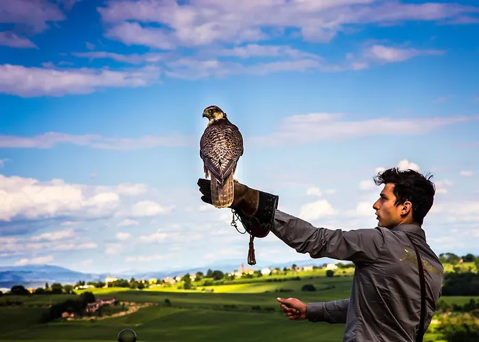 Loggio Winery And Boutique Кортона