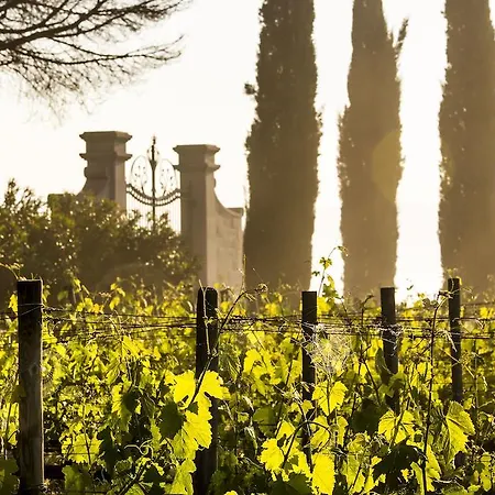 Loggio Winery And Boutique