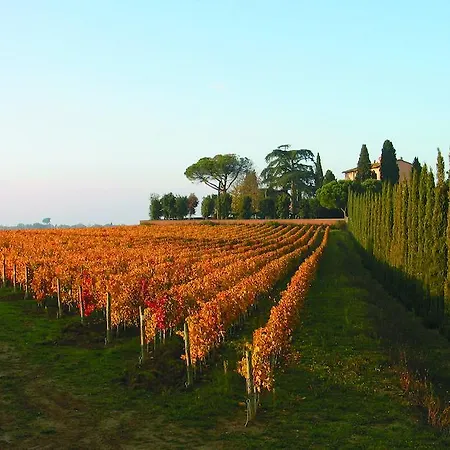 Loggio Winery And Boutique Hotell Cortona